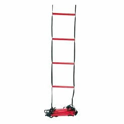 Best Pirce 😀 Wilson Training Ladder 🛒