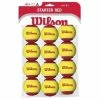 New ⌛ Wilson Starter Red Tennis Balls - 12 Pack 👏 -Tecnifibre Shop BJWI3507Wilson Starter Red Tennis Balls 12 Pack P1
